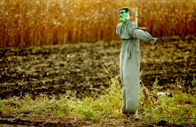 Did You Know There&#8217;s a Scarecrow Contest in Moses Lake?!