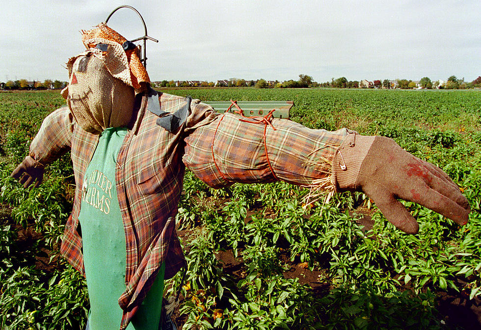 Did You Know There’s a Scarecrow Contest in Moses Lake?!