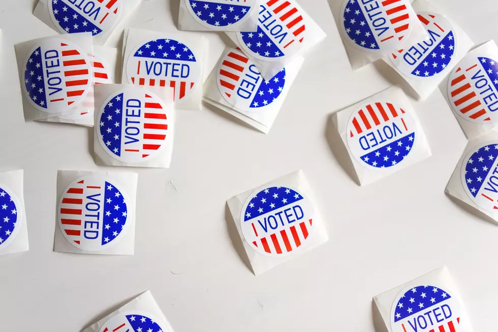 Primary Elections are Here - What You Need to Know