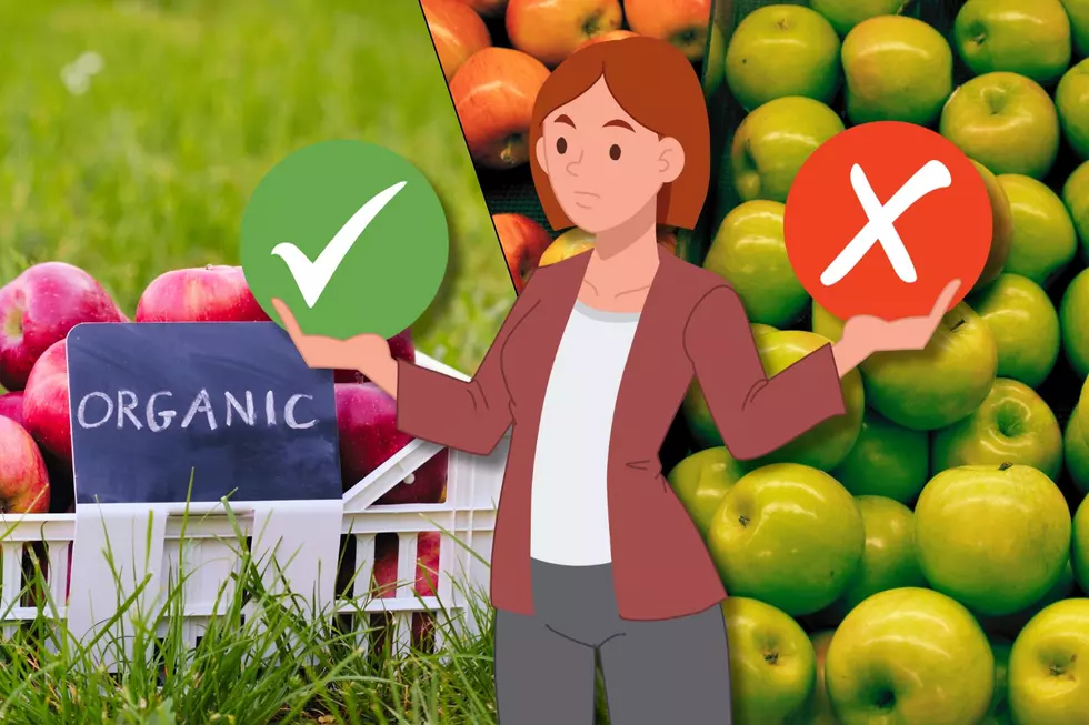 Are organic or conventional Washington apples better?