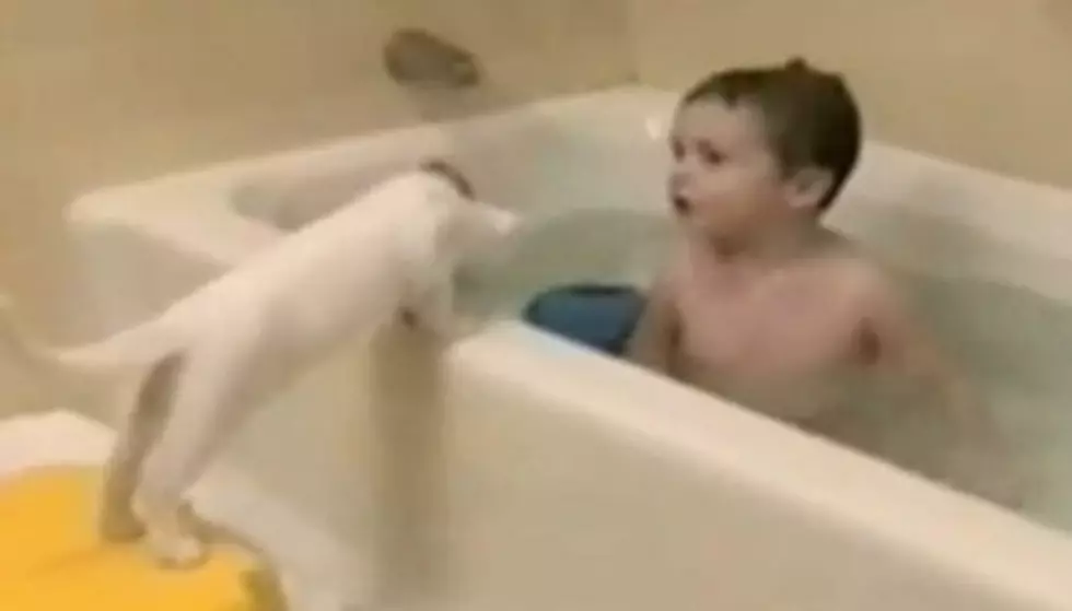 Cat Is Pulled In Tub By Kid [VIDEO]