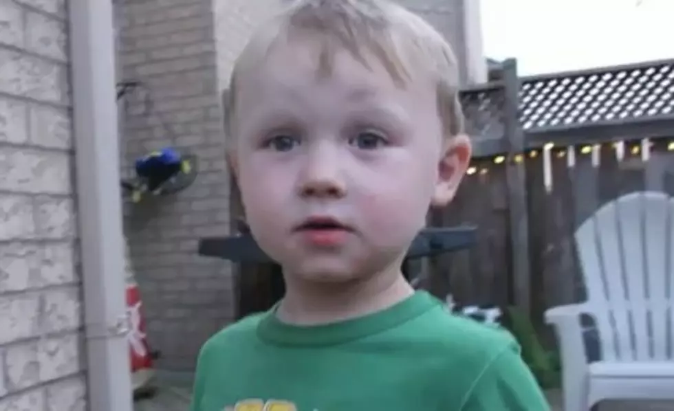 Little Boy Thinks He Knows How To Get Fly Out Of Spider Web [VIDEO]