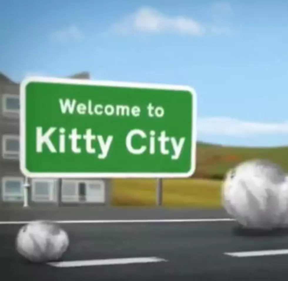 The Weirdest Kitty Video You Will Ever See [VIDEO]