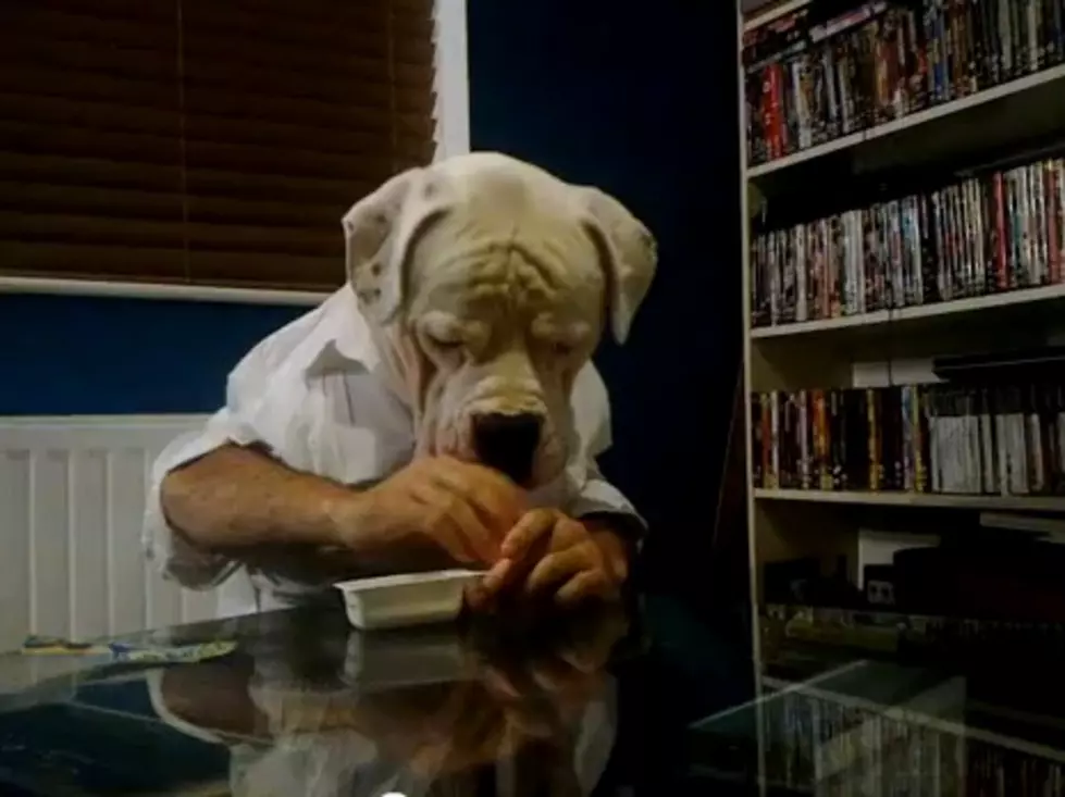 Dogman Eats, While You Smile [VIDEO]