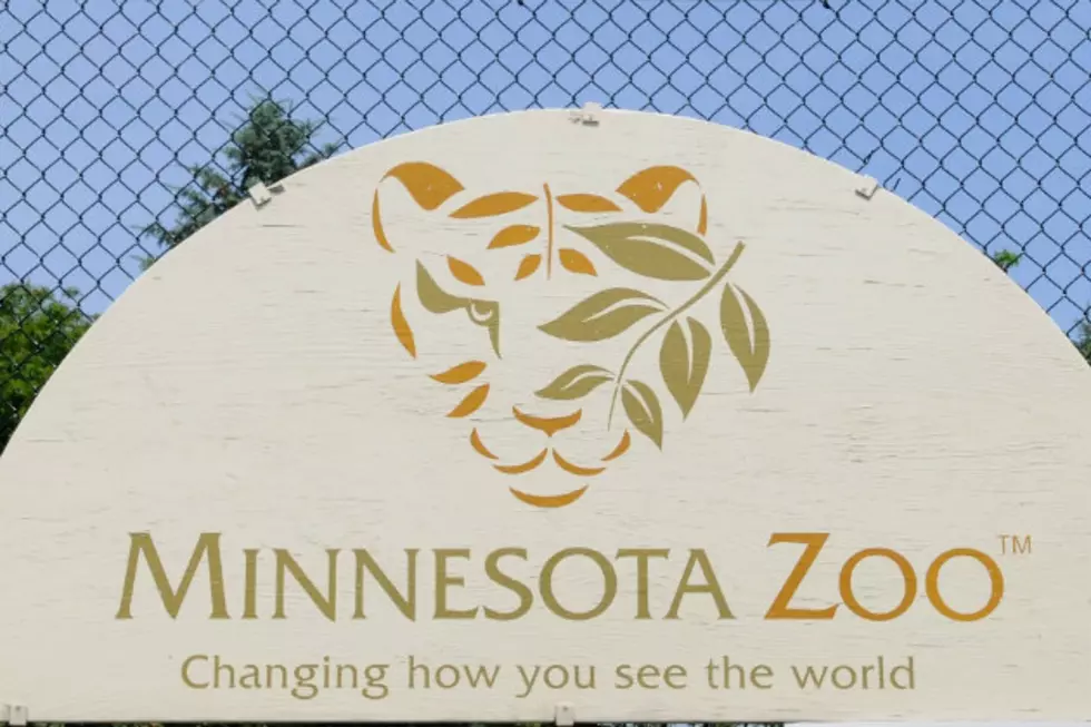 Is MN Zoo Best In The Nation?