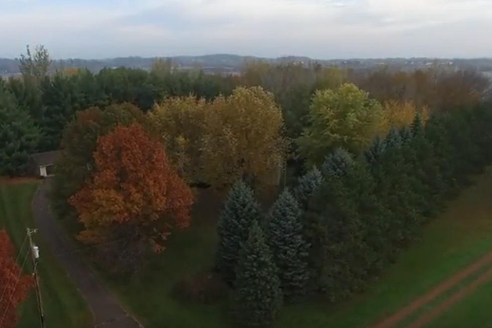 What a Breathtaking Minnesota Fall Looks Like with a Drone [WATCH]