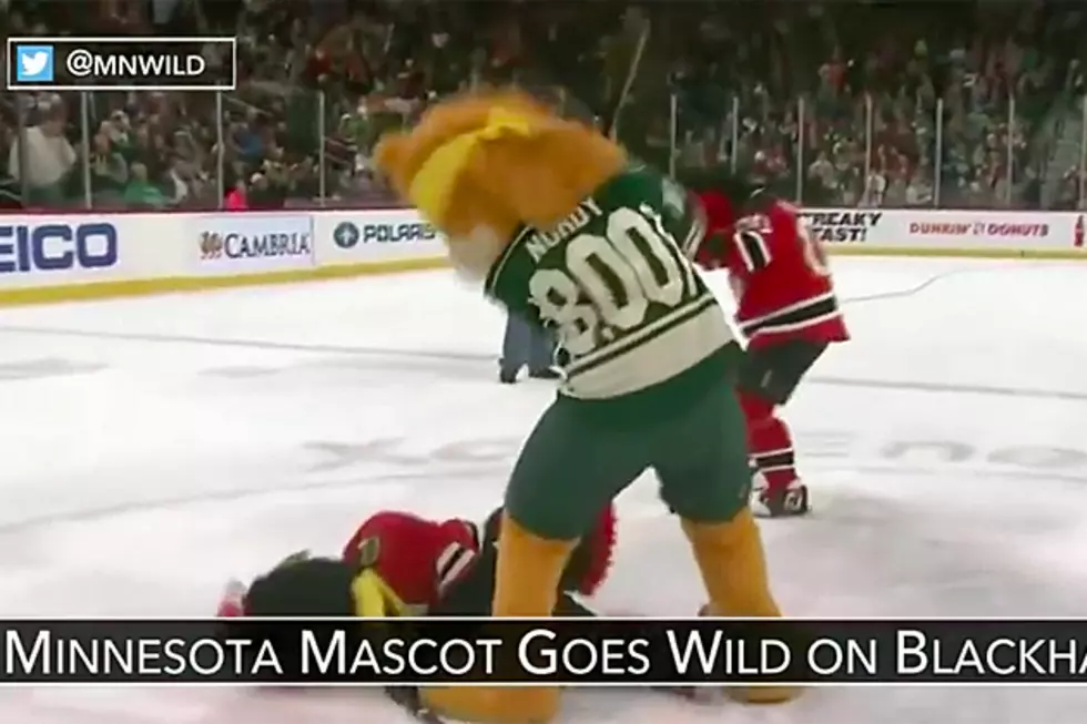 Nordy Celebrates Birthday by Beating Chicago Mascot, Some Wild Fans Cry Foul