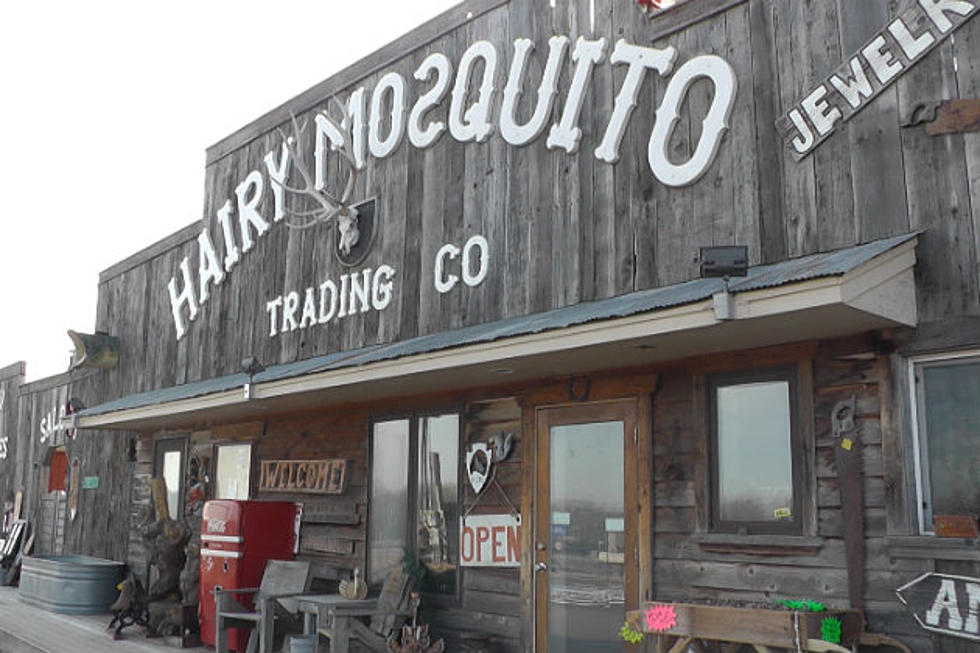 Itching To Get Out? Milaca&#8217;s Hairy Mosquito Hosting A Flea Market This Weekend