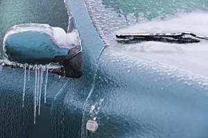 Surprising Things Minnesotans Leave In Cold Car But Shouldn&#8217;t