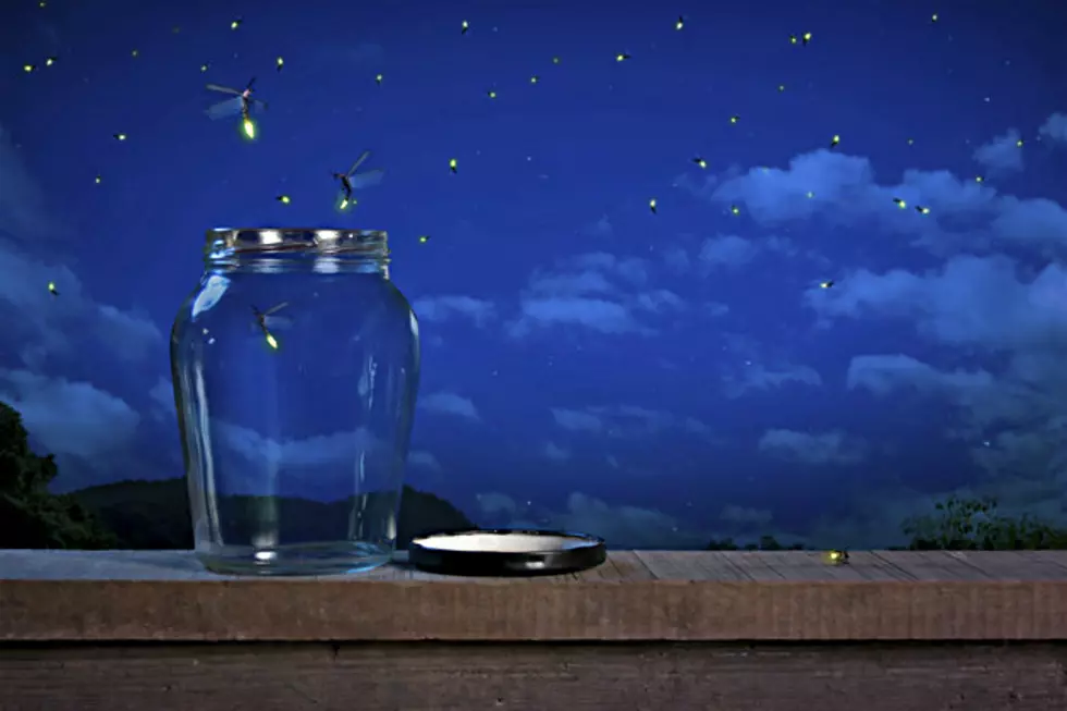 Create a Firefly Haven In Your Back Yard
