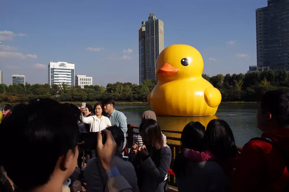 World's Largest Rubber Duck Returning to Minnesota