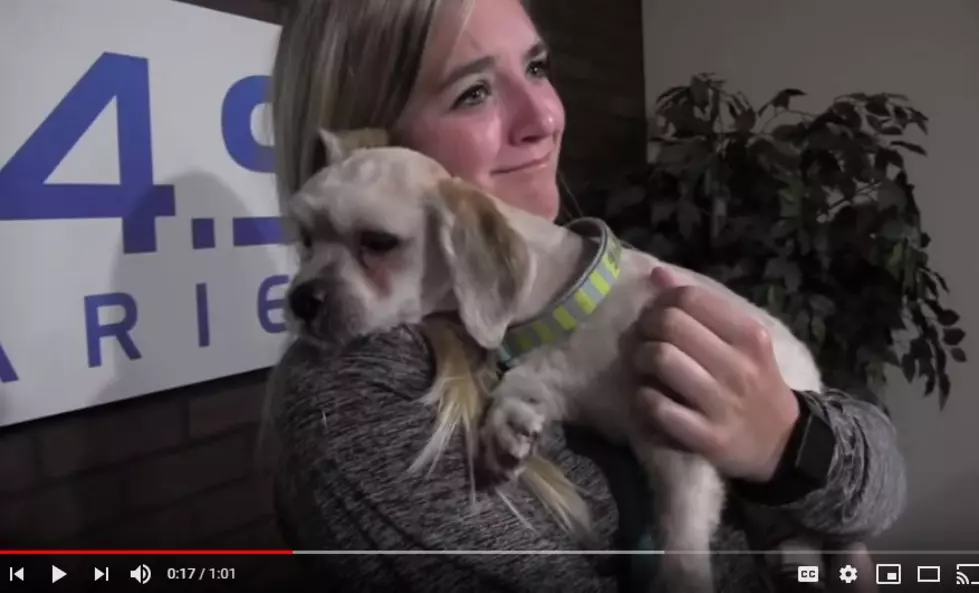I Held My Dog For The First Time Two Years Ago Today [Watch]
