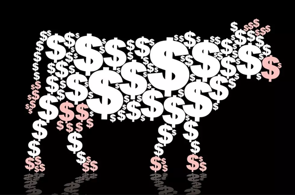 WIN $5000 WITH THE 98.1 CASH COW