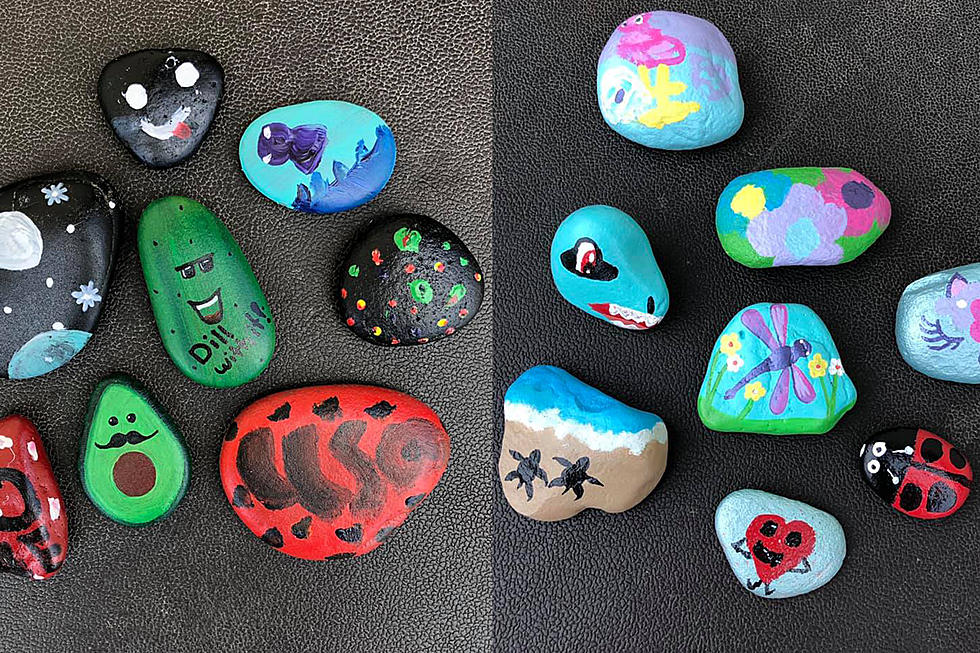 Rocks from Annandale Spreading Kindness Across Central Minnesota