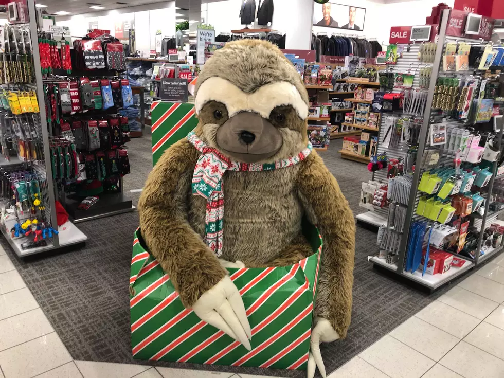 St. Cloud Kohl’s Posts Safety Warning About Giant Sloth