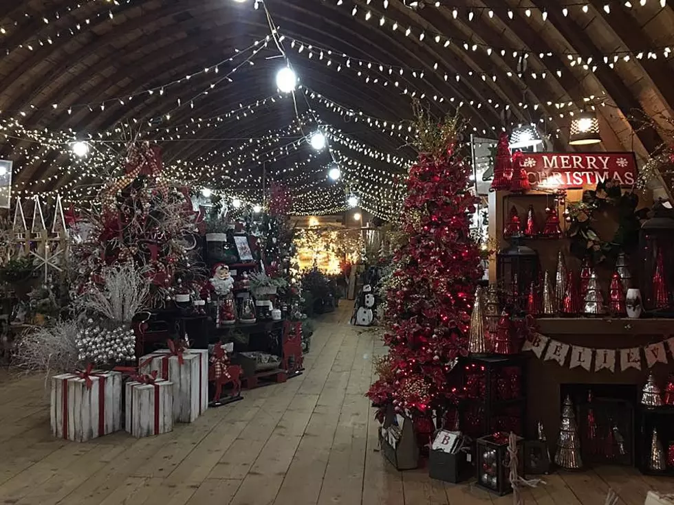 Berg’s Country Barn in Sauk Centre Announces Opening Dates for 2022