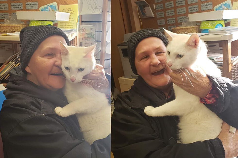Christmas Miracle: Cat Missing Since July Finds Its Way Home Thanks to TCHS