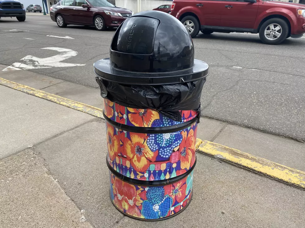 Little Falls Has the Coolest Garbage Cans In the State
