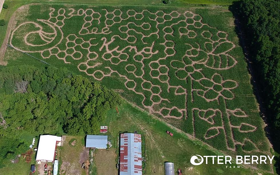Farm in Otter Tail County Shares Epic Corn Maze Layout for 2020