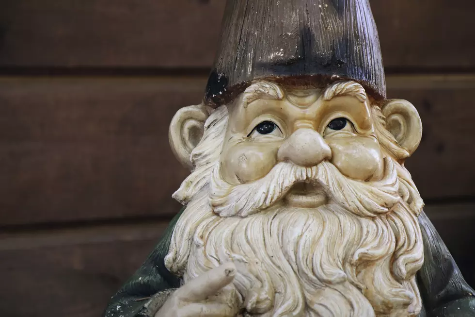 Minnesota City Honors Town Heroes with Personalized Gnomes