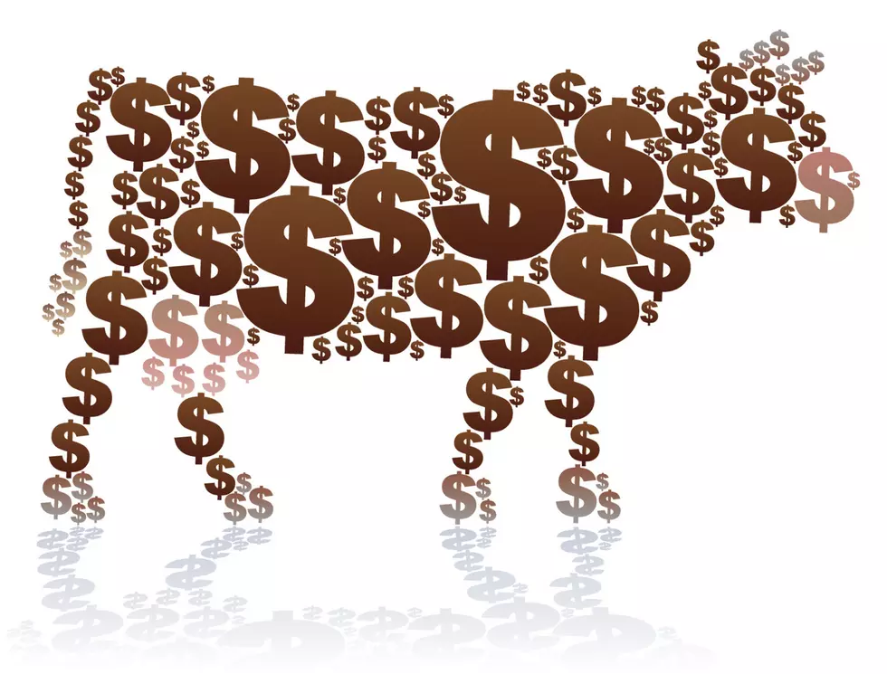 Win Cash, Up to $10,000 Starting Monday with the 98.1 Cash Cow