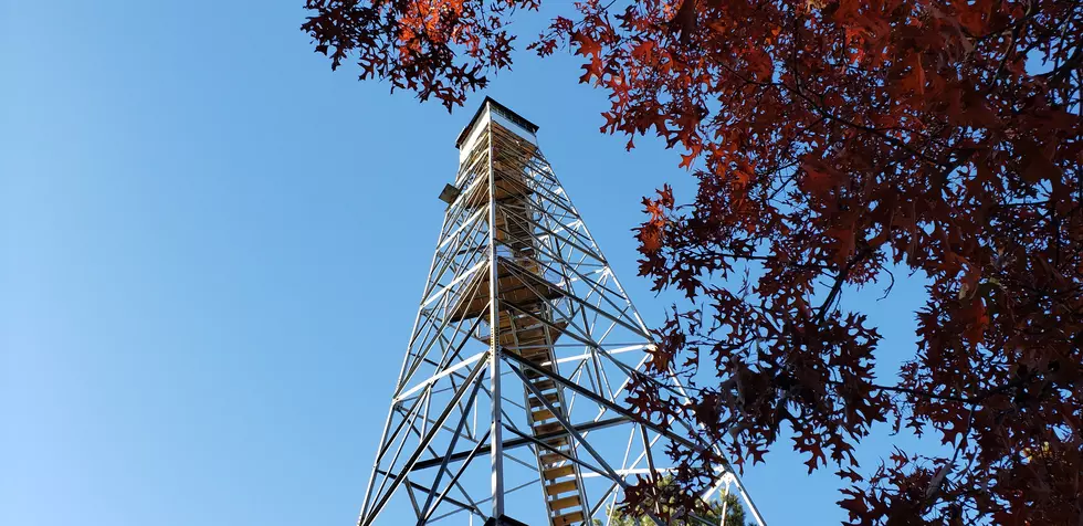 Take a Fall Hike to this Renovated Fire Tower in Pequot Lakes