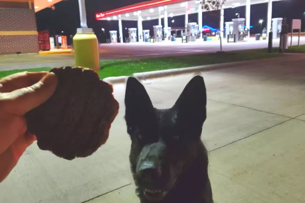 Benton Co. Sheriff K-9 Rewarded with Kwik Trip For a Job Well Done