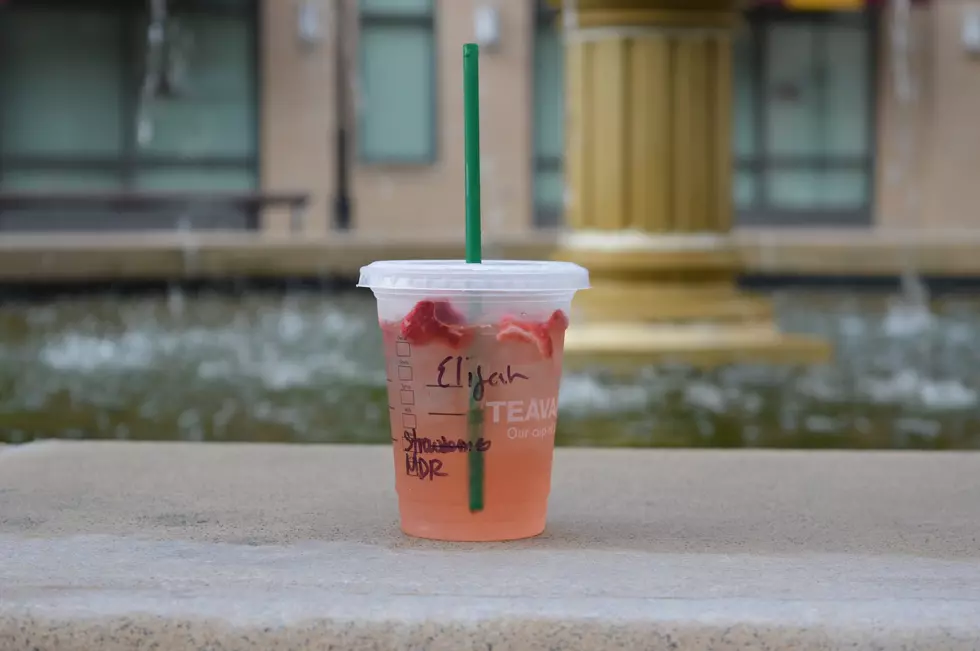 TikTok Trend of Taking Your Duck to Starbucks Comes to Minnesota