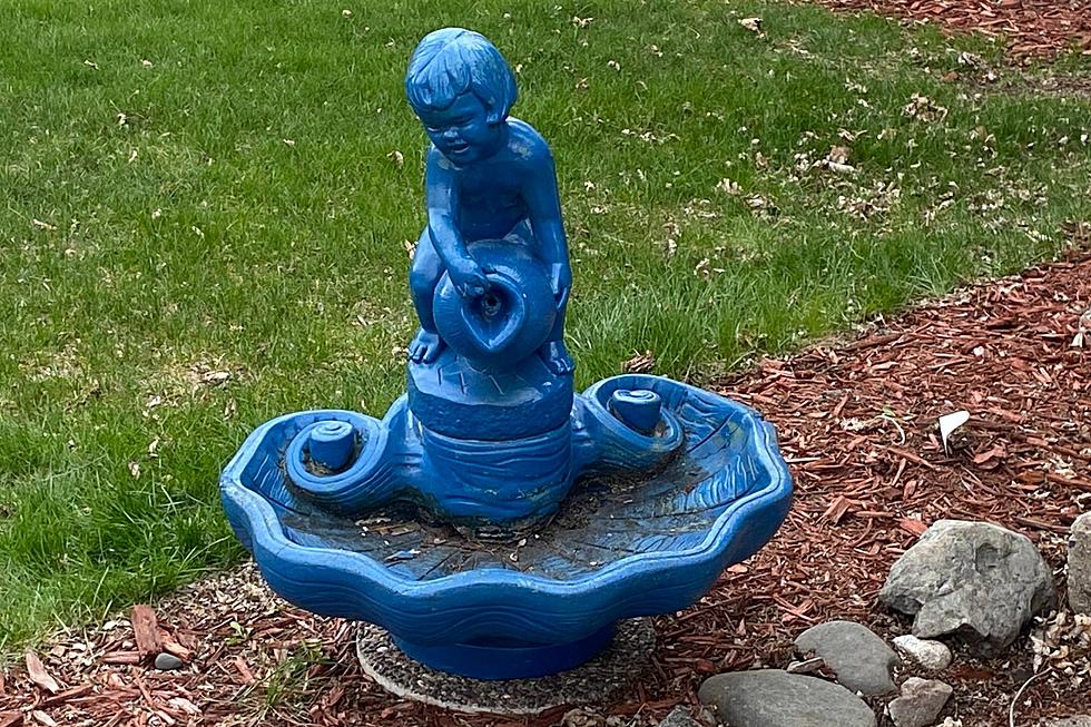 My Spring Project: Fixing Up A Birdbath: Now What?