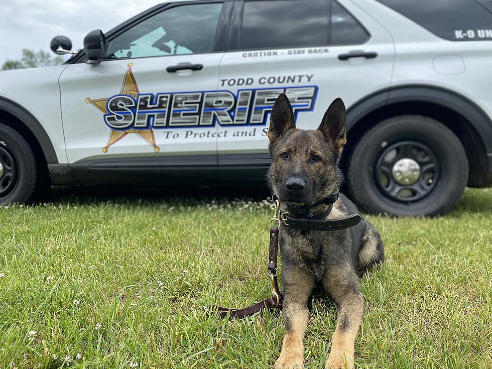 Todd and Morrison Counties Welcome New Sheriff K9s