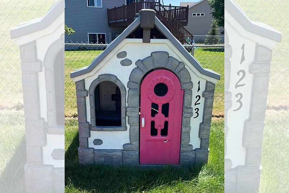 Unique Custom Toddler-Sized “She Shed” For Sale in St. Cloud