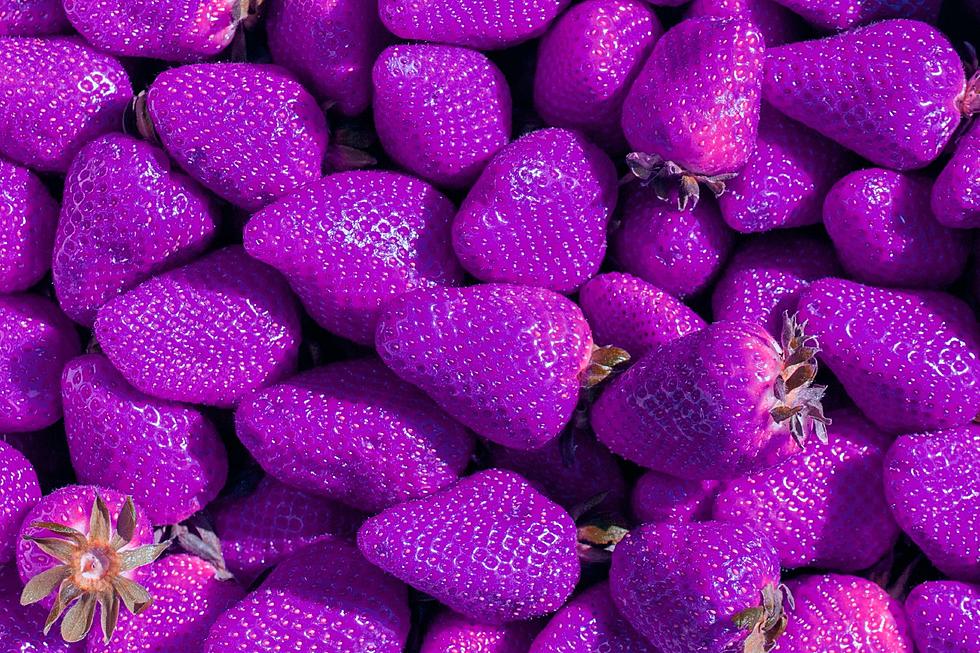 Is This A Scam or the Real Deal? Find Out Where You Can Purchase “Rare” Purple Strawberries