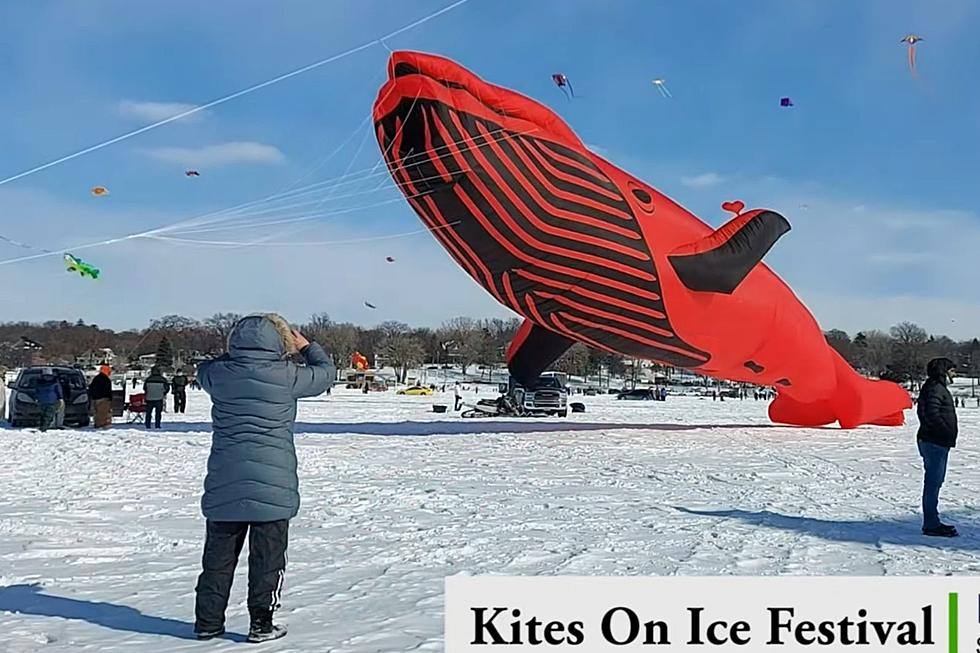 Dozens of Kites Taking to the Ice