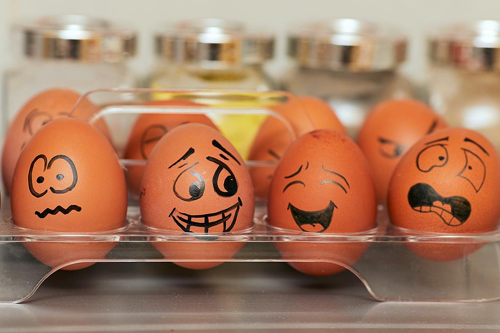 Is There Really an Egg Shortage? Six EGGCITING Options Other Than Chicken Eggs