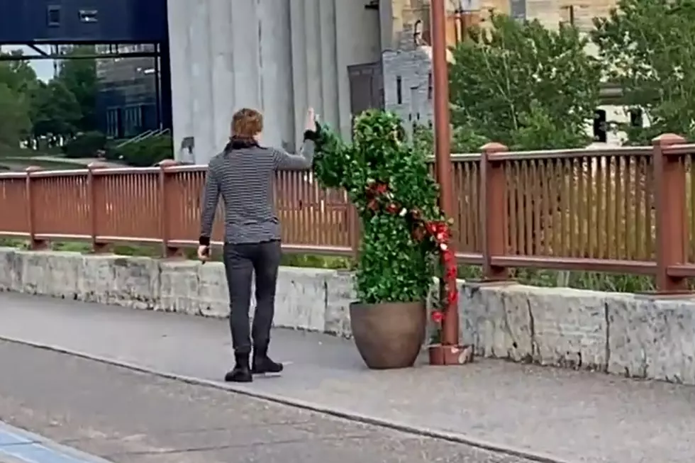 Person in a Plant Costume Pranking on the Stone Arch Bridge in Minneapolis [WATCH]