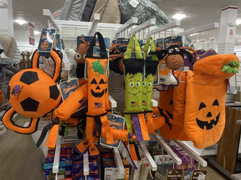 Halloween Has Already Taken Over This St. Cloud Store