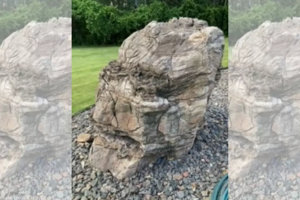 Would You Pay $10,000 For This Central Minnesota Rock?