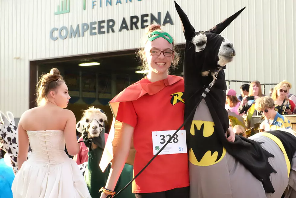State Fair Hosts Llama Costume Contest (Pix)