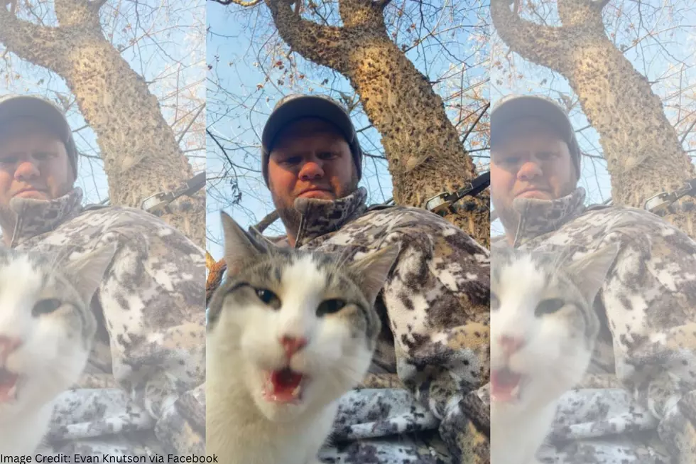 How About A Selfie? Minnesota Man’s Cat Joins Him In Tree Stand