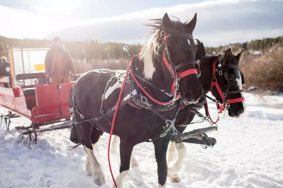 Get In The Holiday Spirit By Taking A Carriage Ride In Central Minnesota