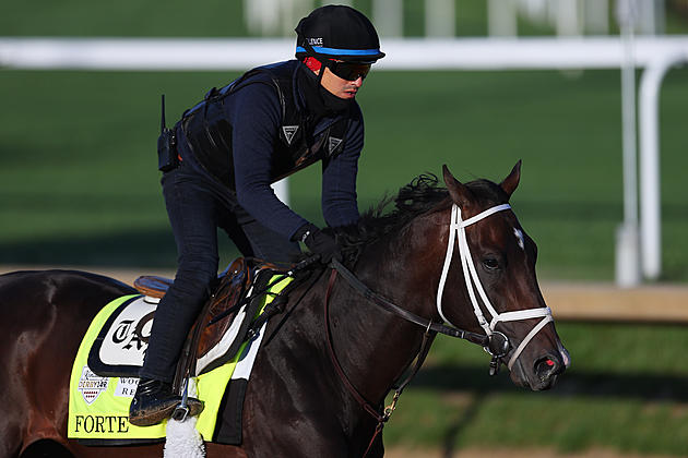 KENTUCKY DERBY FAVORITE &#8216;FORTE&#8217; &#8211; SCRATCHED HOURS BEFORE RUN FOR THE ROSES