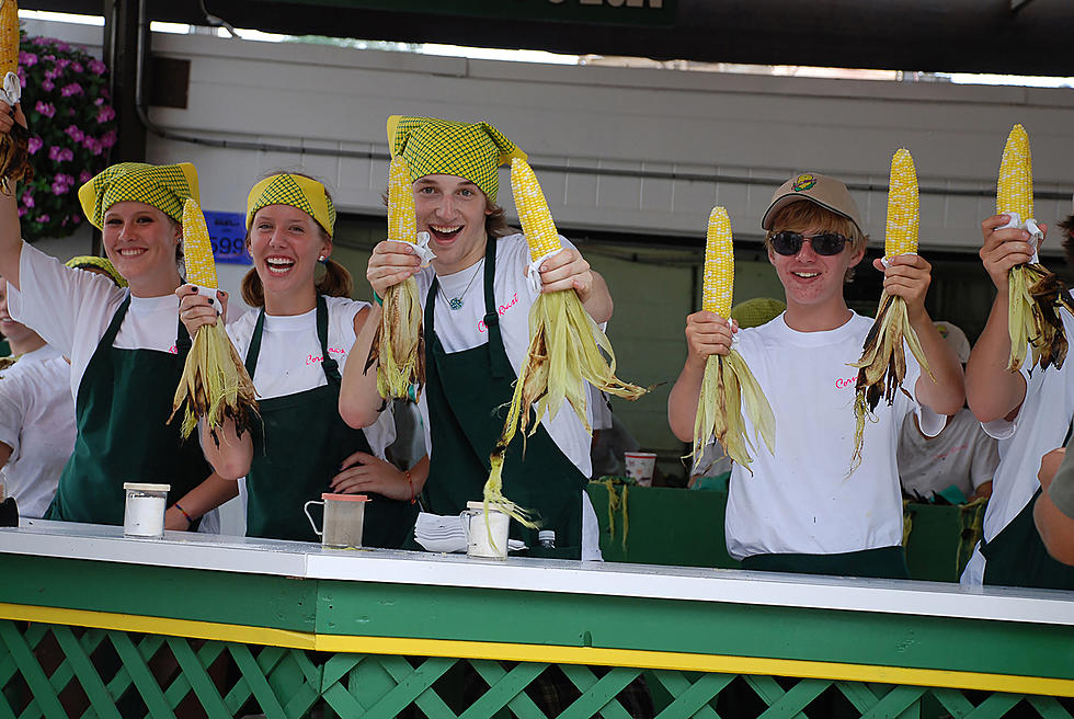 MN State Fair Revisted, 4 Foods That Received the Coveted 10/10
