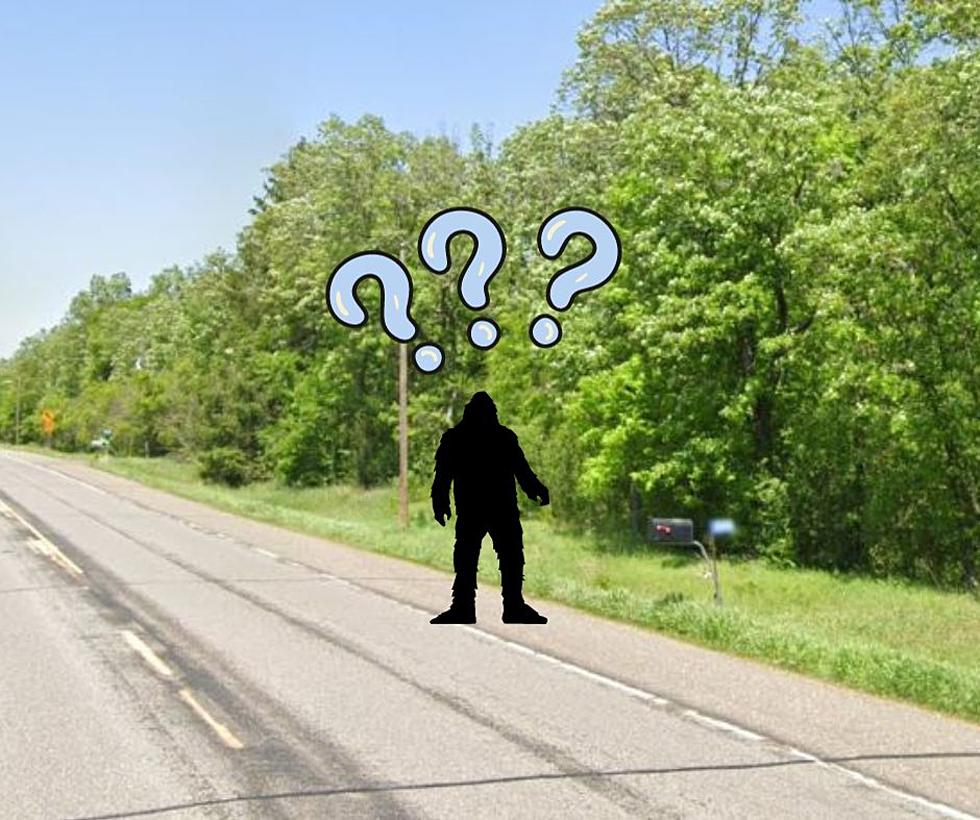 It's Been Nearly 6 Years Since Bigfoot Was Reported In Stearns Co