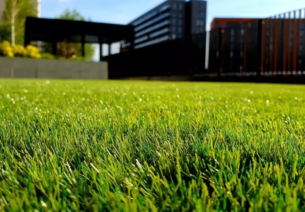 August Is Prime Time For Your Lawn’s Makeover