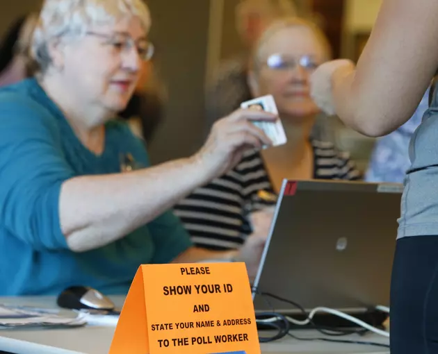 How Many People In Michigan Voted Without a Photo Id?