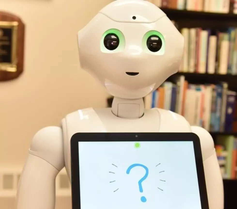 WMU Gains New Robot To Help Study Communication