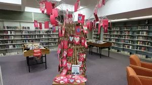 Battle Creek Students Create Inspirational Friendship Tree At The Willard Library