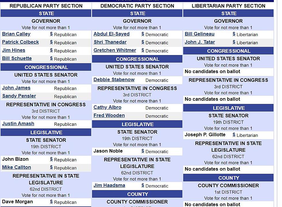 What Is Whitmer Doing With The Ballot And President Trumps’ Entry