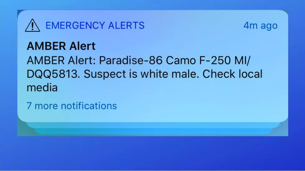 Michigan's EAS Fails Miserably During Overnight AMBER Alert