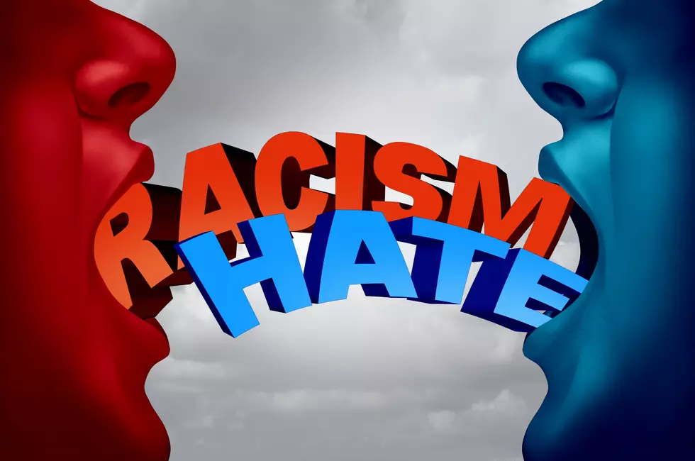 Michigan’s Civil Rights Commission Supports Teaching Racism And Bigotry To Children
